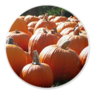 Pumpkins Photo for Fall, Halloween eller Thanksgiv Knopp