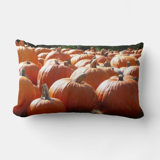Pumpkins Photo for Fall, Halloween eller Thanksgiv Lumbarkudde (Framsida)