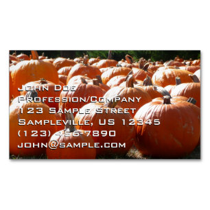 Pumpkins Photo for Fall, Halloween eller Thanksgiv Magnetiska Visitkort