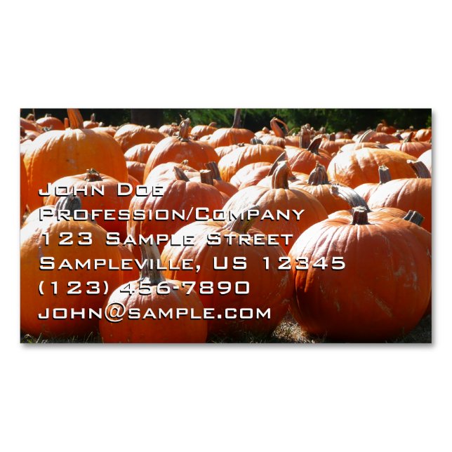 Pumpkins Photo for Fall, Halloween eller Thanksgiv Magnetiska Visitkort (Framsida)