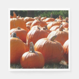 Pumpkins Photo for Fall, Halloween eller Thanksgiv Pappersservett