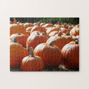 Pumpkins Photo for Fall, Halloween eller Thanksgiv Pussel