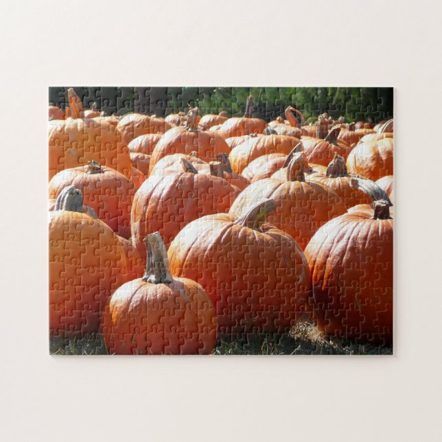 Pumpkins Photo for Fall, Halloween eller Thanksgiv Pussel (Horisontell)
