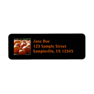 Pumpkins Photo for Fall, Halloween eller Thanksgiv Returadress Etikett