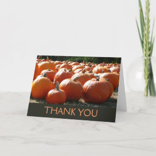 Pumpkins Photo for Fall, Halloween eller Thanksgiv Tack Kort