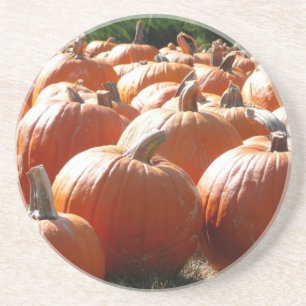 Pumpkins Photo for Fall, Halloween eller Thanksgiv Underlägg Sandsten