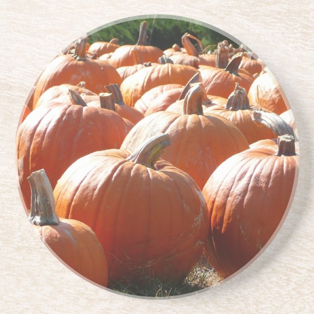 Pumpkins Photo for Fall, Halloween eller Thanksgiv Underlägg Sandsten (Framsidan)