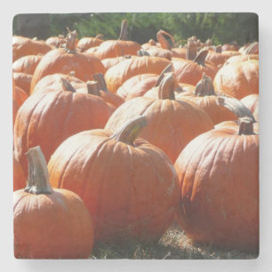 Pumpkins Photo for Fall, Halloween eller Thanksgiv Underlägg Sten