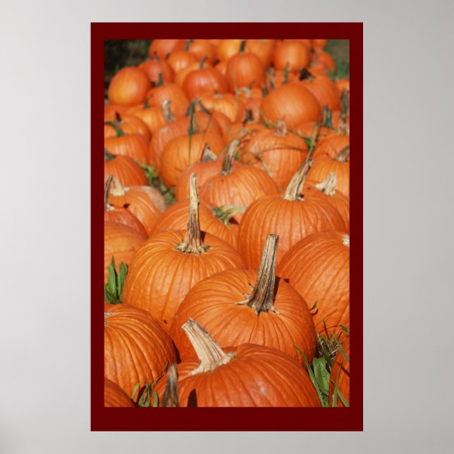 PUMPKINS! POSTER (Framsidan)
