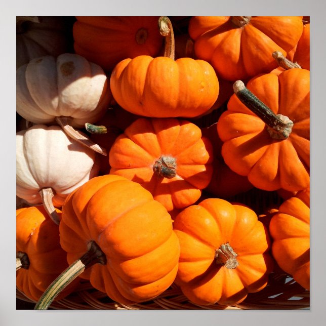 Pumpkins Poster (Framsidan)
