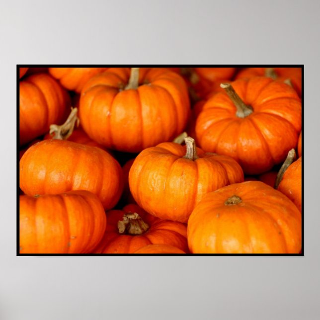 Pumpkins Poster (Framsidan)