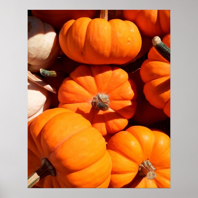 Pumpkins Poster (Framsidan)