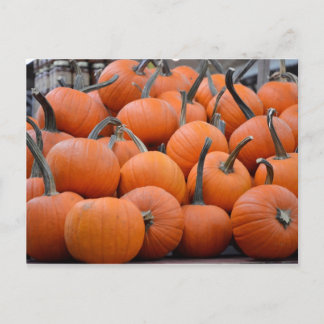 Pumpkins, Pumpkins och More Pumpkins, Fall Vykort