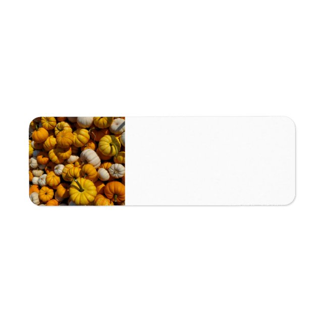 Pumpkins Returadress Etikett (Framsidan)