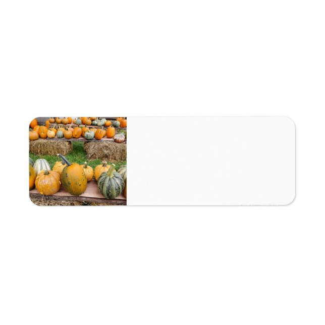 Pumpkins Returadress Etikett (Framsidan)