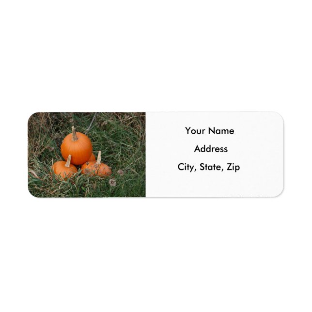 Pumpkins Returadress Etikett (Framsidan)