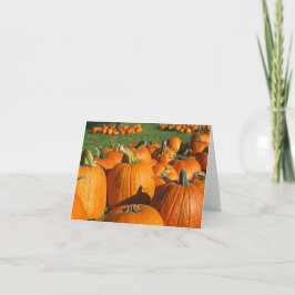 Pumpkins Roca Berry Farm-kort 4 Kort