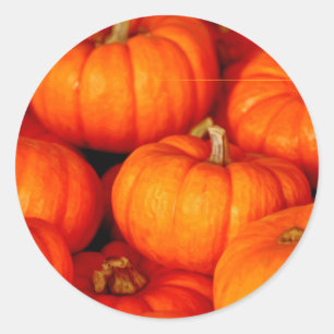 Pumpkins Runt Klistermärke