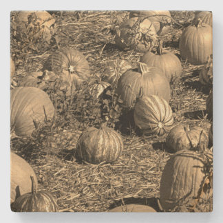 Pumpkins Stenunderlägg