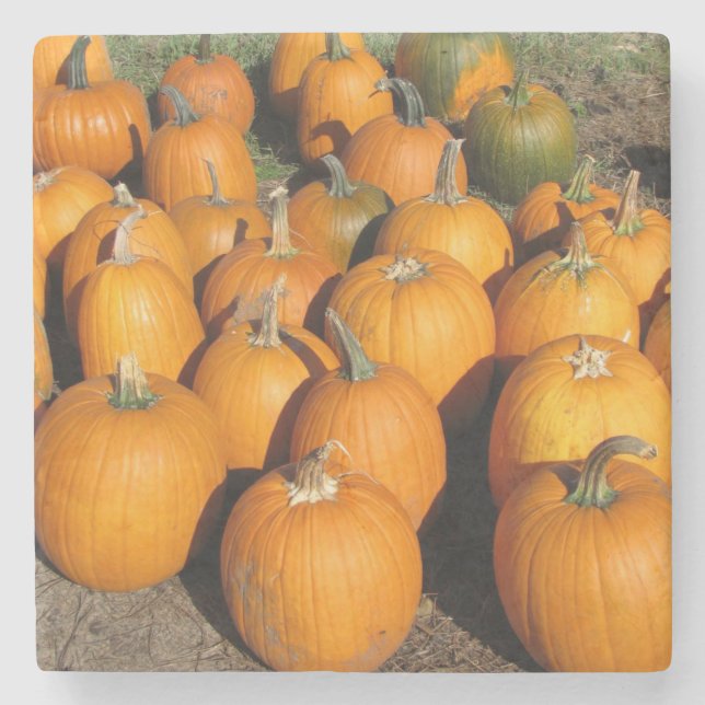 Pumpkins Stenunderlägg (Framsidan)