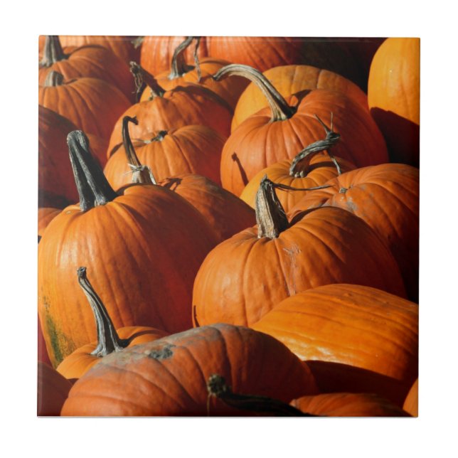 Pumpkins Tile Kakelplatta (Framsidan)