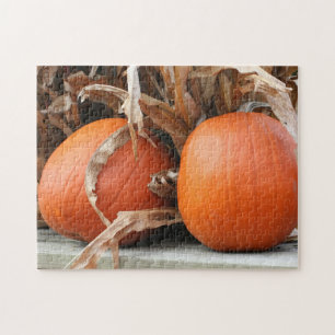 Pumpkins Torkade Maj Stalks Autumn Pussel