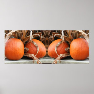 Pumpkins Torkade Maj Stalks Spegel Abstrakt Poster