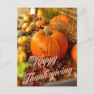 Pumpkins-visning Vykort