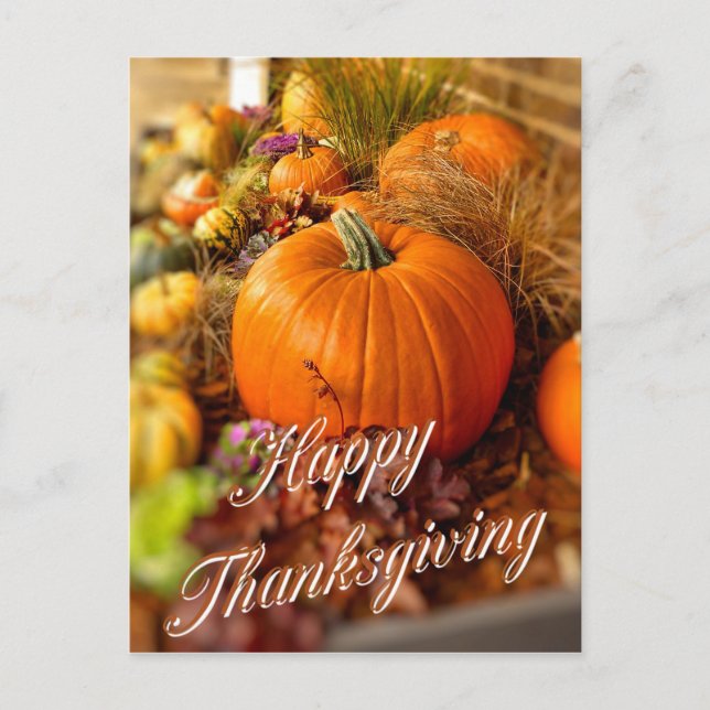 Pumpkins-visning Vykort (Framsida)