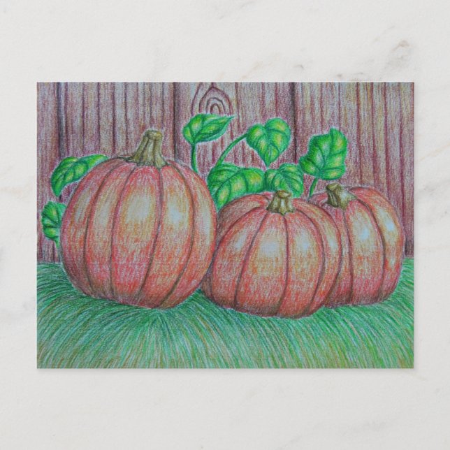 Pumpkins Vykort (Framsida)