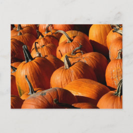 Pumpkins-vykort Vykort