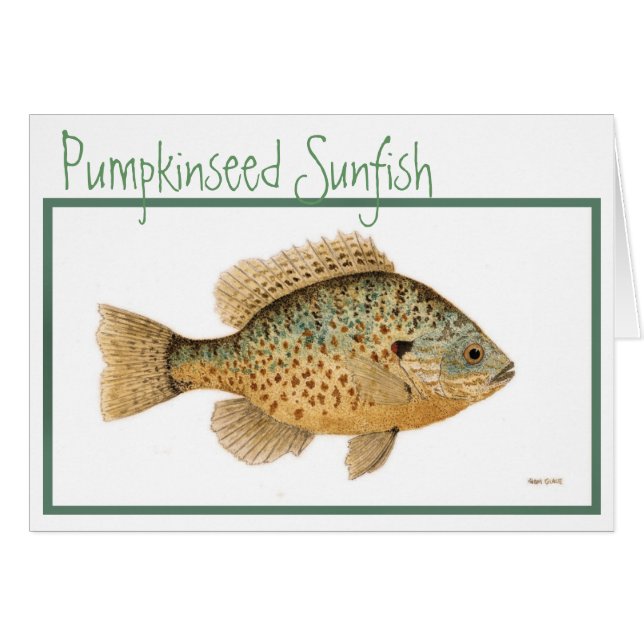 Pumpkinseed klumpfiskkort hälsningskort (Framsidan Horizontal)