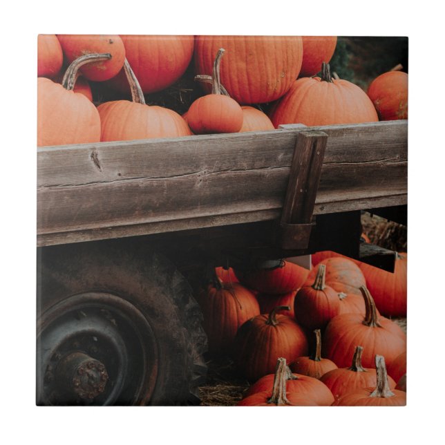 pumpkinvagn kakelplatta (Framsidan)