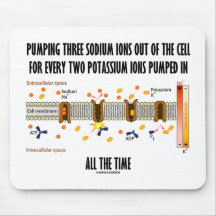 Pumpning av tre natriumjoner utanför cellen (Na-K-