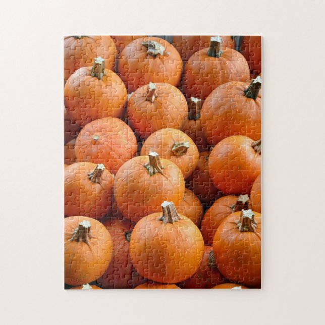 Pumpor av visning med liten orange pussel (Vertikal)