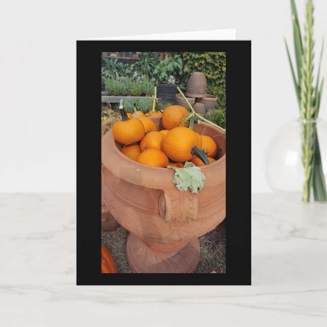 Pumpor Fall-hälsningskort Kort (Framsida)