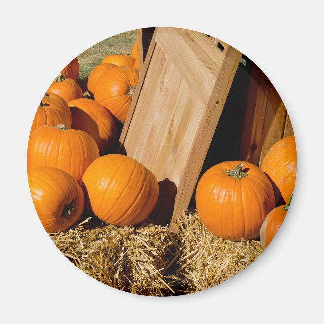 Pumpor färska ut ur lådan magnet (Framsidan)