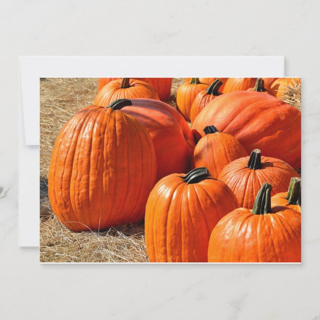 pumpor för försäljning (Framsida)