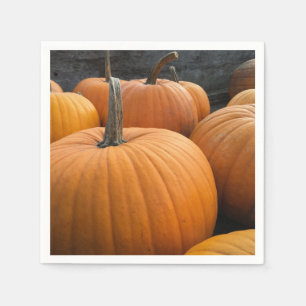 Pumpor för höstskördad Orange Pappersservett