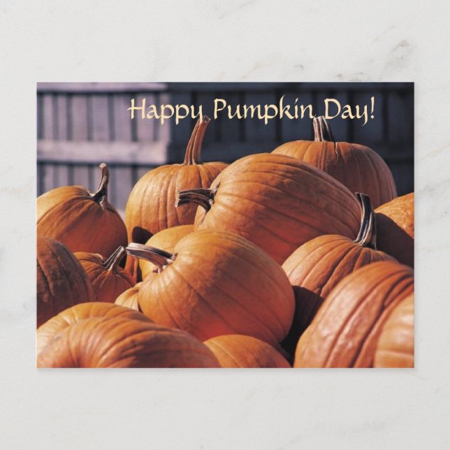 Pumpor i ett Tunna-Halloween-vykort Vykort (Framsida)