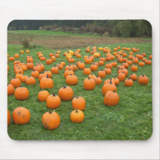 Pumpor i fält musmatta