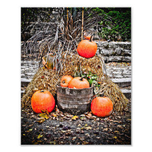 Pumpor i Quebec Fototryck