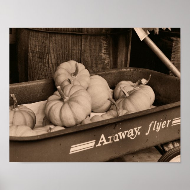 Pumpor in Old Wagon in Sepia Autumn Poster (Framsidan)