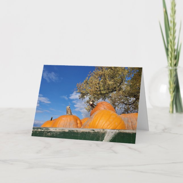 Pumpor Kort (Framsida)