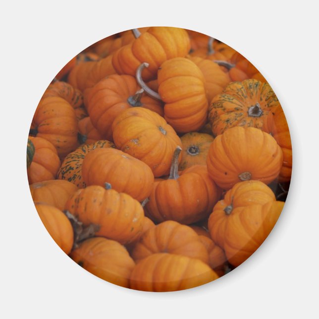 pumpor magnet (Framsidan)