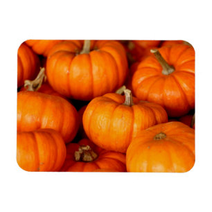 Pumpor Magnet