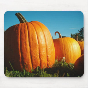 Pumpor Musmatta