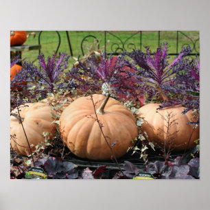 Pumpor och blomsterställ poster