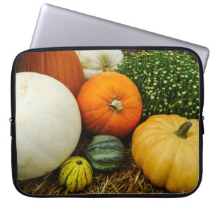 Pumpor och gourder laptop sleeve