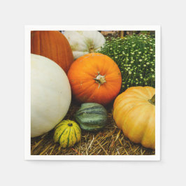 Pumpor och gourder pappersservett